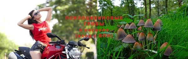 молекула духа Баксан